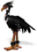 Black Moa.png