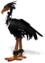 Black Moa.png