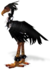 Black Moa.png