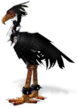 Black Moa