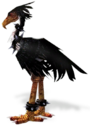 Black Moa.png