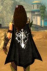 Guild Soldiers Of Underworld League cape.jpg