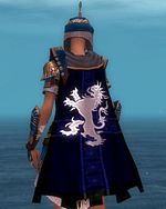 Guild Deep Blue Sky cape.jpg