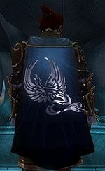 Guild Le Corbeau Noir cape.jpg