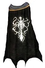 Guild Wrath Of The Fallen Order cape.jpg