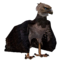 Mountain Eagle2.png