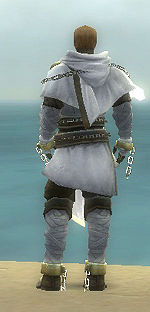 Augur of Kormir costume m white back.jpg