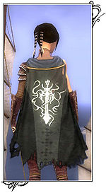 Guild Ordo Immemorium cape.jpg