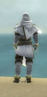 Augur of Kormir costume m dyed back.jpg