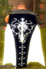 Guild House Of Swinging Swords cape.jpg