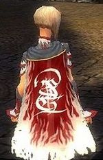 Guild The Luxon Crusaders cape.jpg