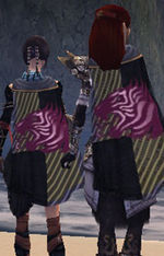 Guild You Aint Got No Pancake Mix cape.jpg