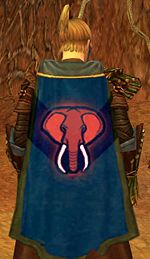 Guild The Blitzers Elephant Reserve cape.jpg