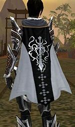 Guild Vicarious Atonements cape.jpg