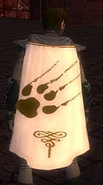 Guild The Claw Of Ascalon cape.jpg