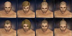 Monk factions hair style m.jpg