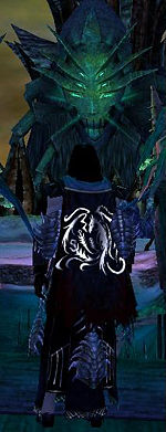 Guild Bleeding Oath cape.jpg