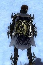 Guild Dutch Strange Heroes cape.jpg