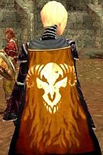 Guild Sic Slayers cape.jpg