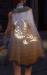 Guild The Undead Ravens cape.jpg