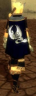 Guild Valandras Kingdom cape.jpg