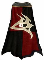 Guild Order Of Spirits cape.jpg