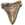 Sharktooth Shield.png