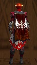 Guild The Organization Of Darkness cape.jpg