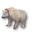 Miniature Polar Bear.png