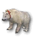 Miniature Polar Bear.png