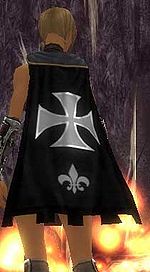 Guild The Legion Of Titans cape.jpg