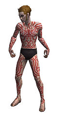 Necromancer Scar Pattern armor m.jpg