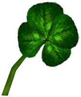 Four-Leaf Clover.jpg