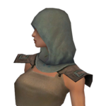 Dervish Istani Hood f gray left.png