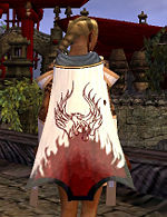 Guild Knights Of A Fallen Sun cape.jpg