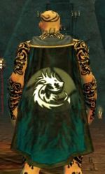 Guild The Dragons Denizens cape.jpg