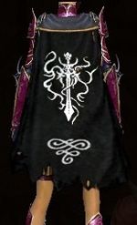 Guild Brother Of The Jenova Academy cape.jpg