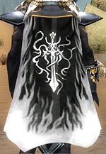 Guild Shadow Slayers cape.jpg