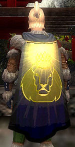 Guild Heavenly Truth Seekers cape.jpg