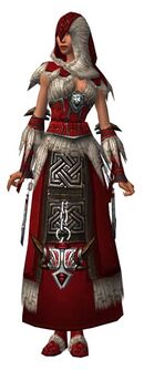 Dervish Norn armor f.jpg