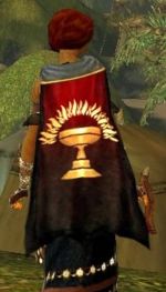 Guild Kierian Knights cape.jpg