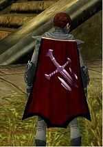 Guild Kiras Followers cape.jpg