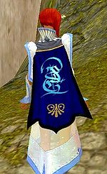 Guild Saboteurs Of Sanity cape.jpg