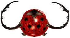 Lisa the World-Famous Racing Beetle back.jpg