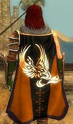 Guild The Ranger Brotherhood cape.jpg