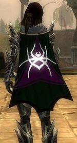 Guild The Return cape.jpg