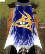 Guild The Wraiths Of The Apocalypse cape.jpg