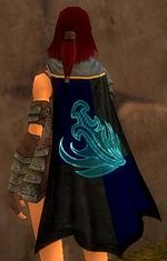 Guild Azure Order Of Sentinels cape.jpg