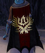 Guild Black Ravens cape.jpg