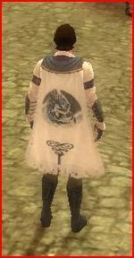 Guild Knights Of Azuremyst cape.jpg